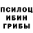 Псилоцибиновые грибы Psilocybine cubensis 2D Realms