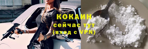 дживик Богданович